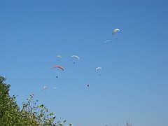 Nuée de parapentes 02